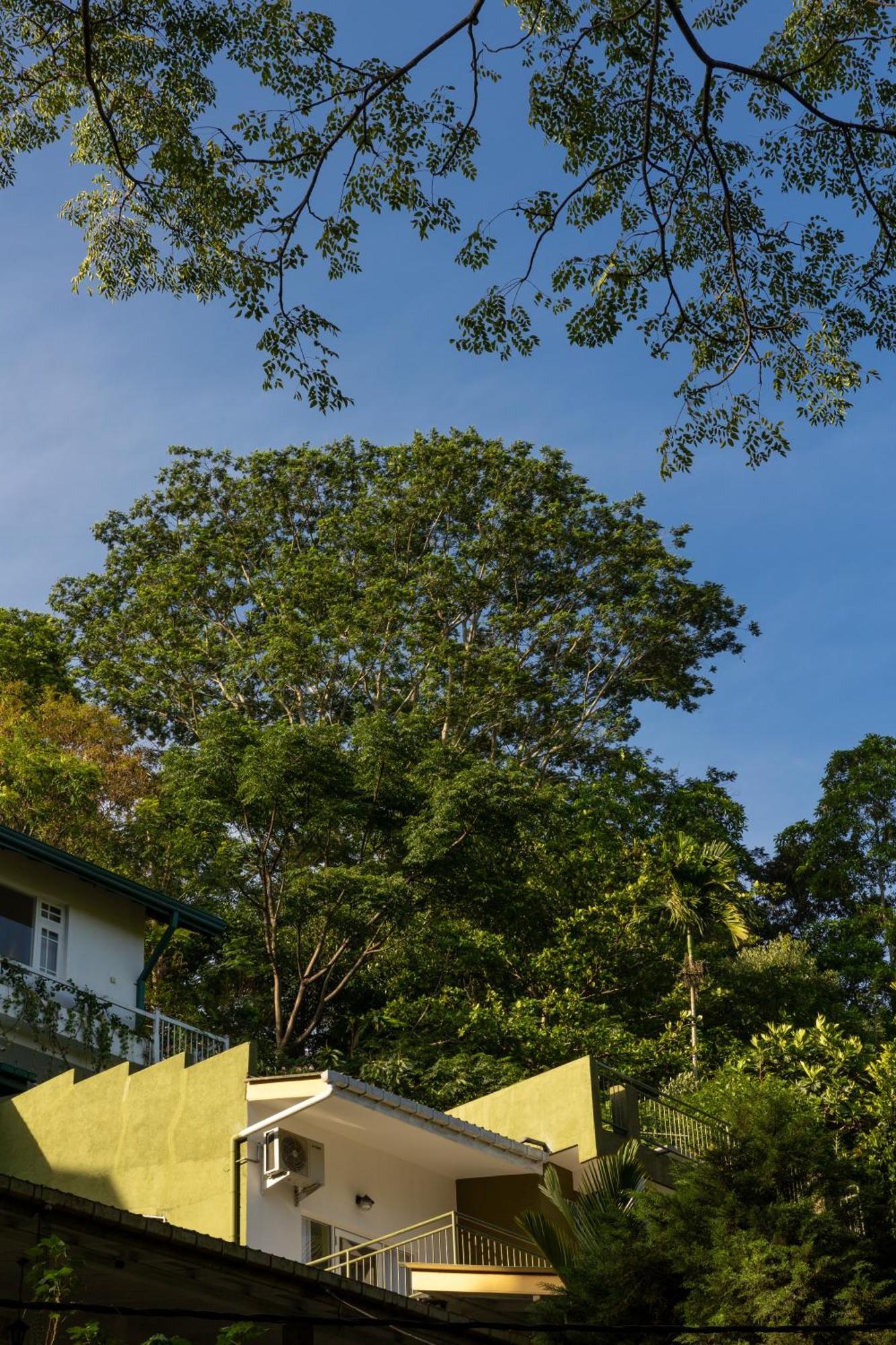 Greenwood Edge Kandy Exterior photo